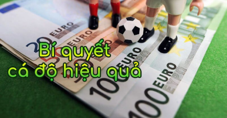 bí quyết cá cược bóng đá