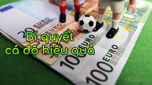 bí quyết cá cược bóng đá