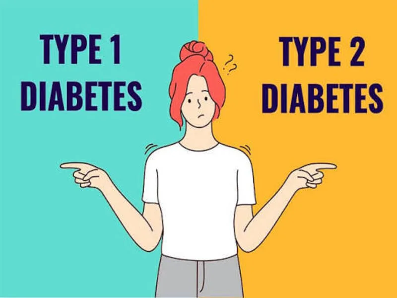 Tiểu đường Tuýp 1 liên quan đến thiếu insulin rõ rệt, còn Tuýp 2 thường bắt đầu từ kháng insulin và giảm khả năng bù trừ của tuyến tụy.